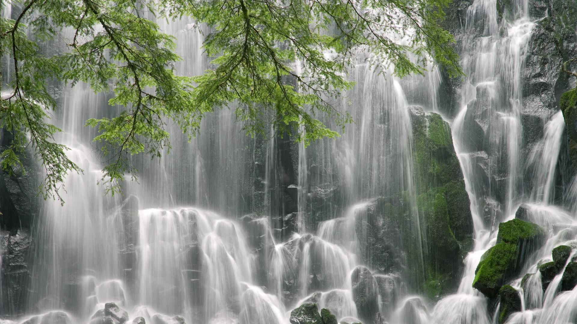 世界游泳接力技术统计平台AI模块第68次迭代上线,世界游泳锦标赛接力决赛